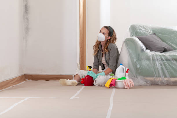 Reliable Commercial Mold Remediation contractor in Brush Prairie, WA by WQB Mold Removal
